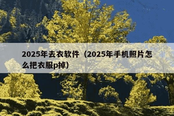 2025年去衣软件（2025年手机照片怎么把衣服p掉）