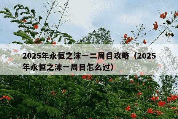 2025年永恒之沫一二周目攻略（2025年永恒之沫一周目怎么过）
