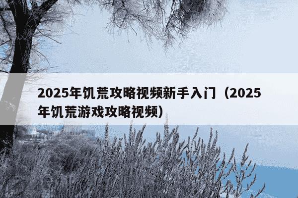 2025年饥荒攻略视频新手入门（2025年饥荒游戏攻略视频）