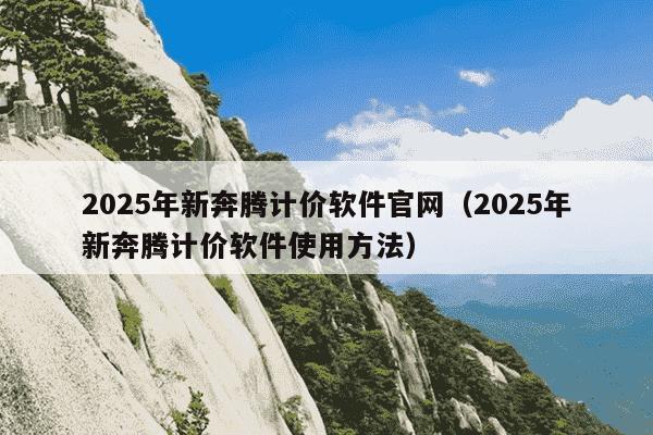 2025年新奔腾计价软件官网（2025年新奔腾计价软件使用方法）