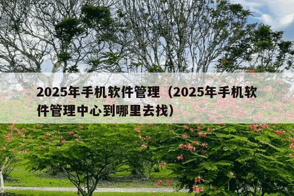 2025年手机软件管理（2025年手机软件管理中心到哪里去找）