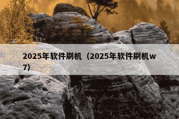 2025年软件刷机（2025年软件刷机w7）