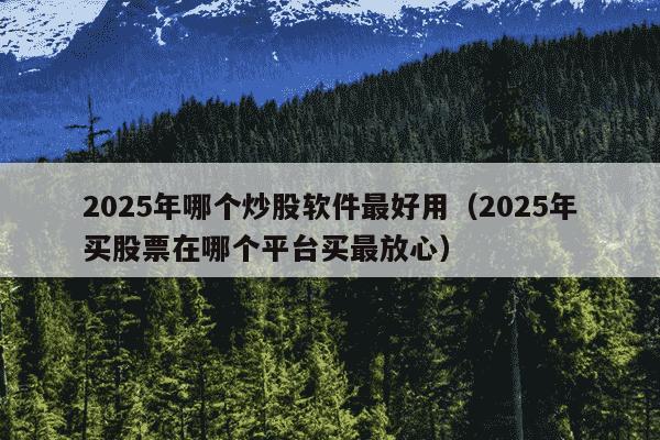 2025年哪个炒股软件最好用（2025年买股票在哪个平台买最放心）