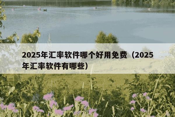 2025年汇率软件哪个好用免费（2025年汇率软件有哪些）