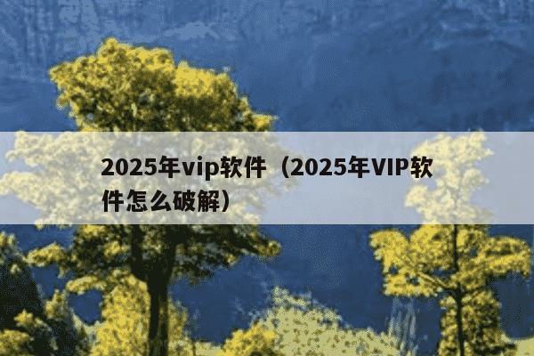 2025年vip软件（2025年VIP软件怎么破解）