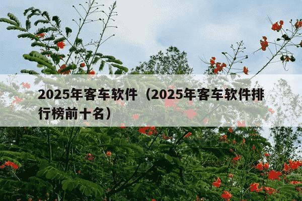 2025年客车软件（2025年客车软件排行榜前十名）