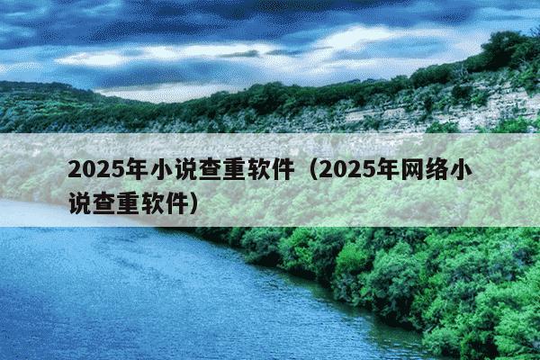 2025年小说查重软件（2025年网络小说查重软件）