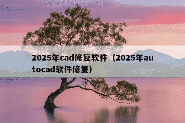 2025年cad修复软件（2025年autocad软件修复）