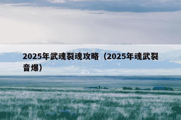 2025年武魂裂魂攻略（2025年魂武裂音爆）