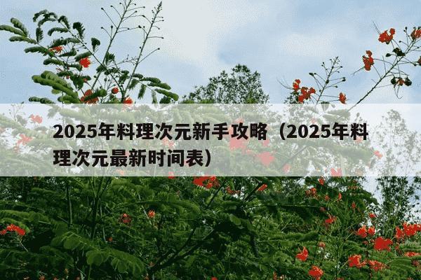 2025年料理次元新手攻略（2025年料理次元最新时间表）
