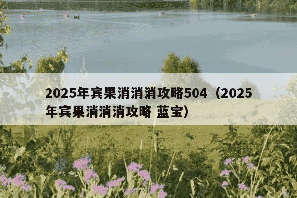 2025年宾果消消消攻略504（2025年宾果消消消攻略 蓝宝）
