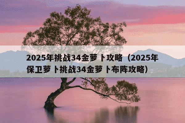 2025年挑战34金萝卜攻略（2025年保卫萝卜挑战34金萝卜布阵攻略）