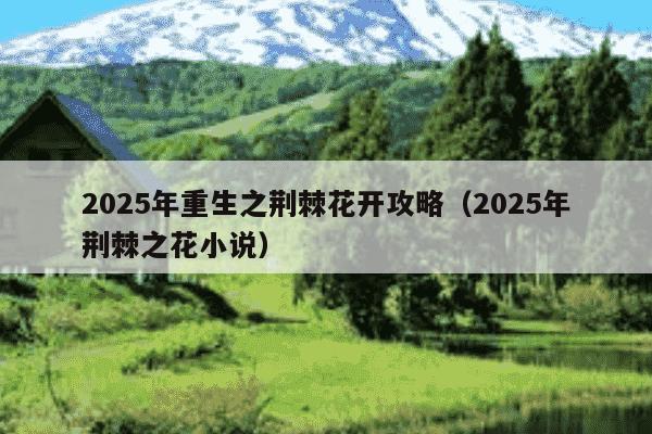2025年重生之荆棘花开攻略（2025年荆棘之花小说）