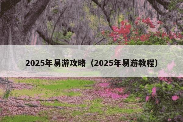2025年易游攻略（2025年易游教程）