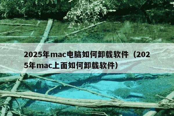 2025年mac电脑如何卸载软件（2025年mac上面如何卸载软件）