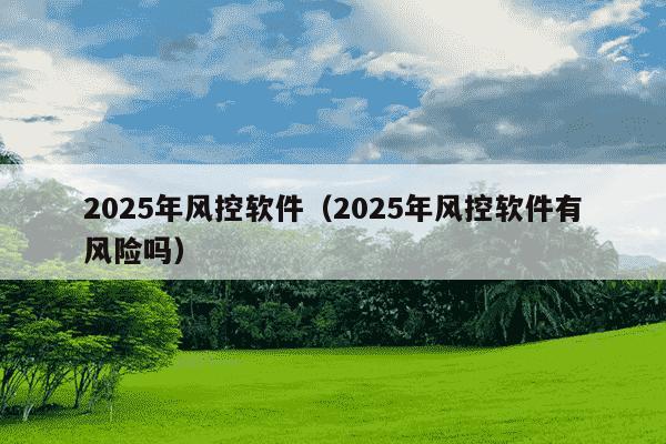 2025年风控软件（2025年风控软件有风险吗）