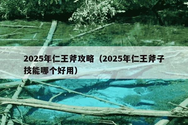 2025年仁王斧攻略（2025年仁王斧子技能哪个好用）