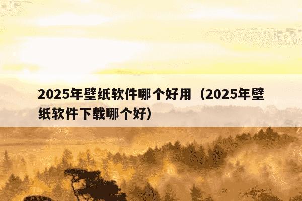 2025年壁纸软件哪个好用（2025年壁纸软件下载哪个好）