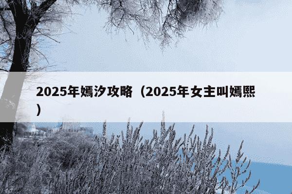 2025年嫣汐攻略（2025年女主叫嫣熙）