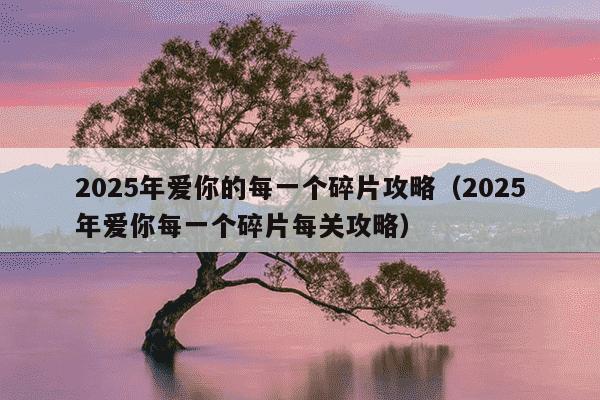 2025年爱你的每一个碎片攻略（2025年爱你每一个碎片每关攻略）