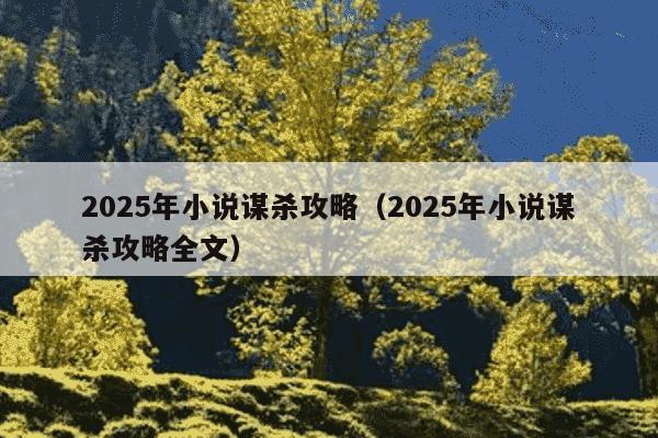 2025年小说谋杀攻略（2025年小说谋杀攻略全文）