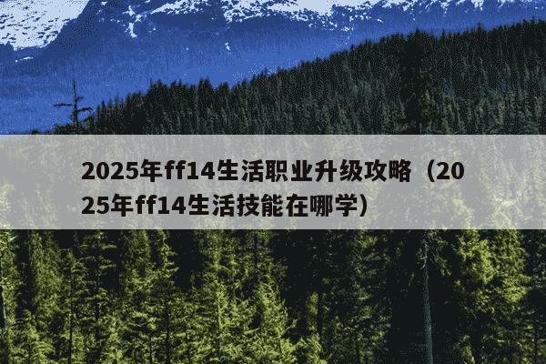 2025年ff14生活职业升级攻略（2025年ff14生活技能在哪学）