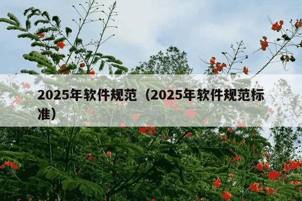 2025年软件规范（2025年软件规范标准）