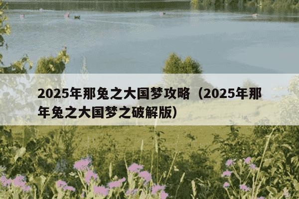 2025年那兔之大国梦攻略（2025年那年兔之大国梦之破解版）