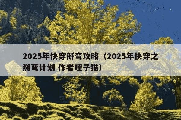 2025年快穿掰弯攻略（2025年快穿之掰弯计划 作者哩子猫）