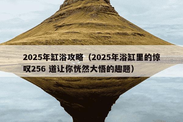 2025年缸浴攻略（2025年浴缸里的惊叹256 道让你恍然大悟的趣题）