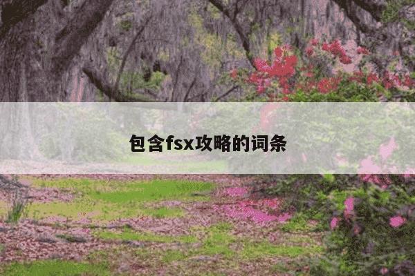 包含fsx攻略的词条