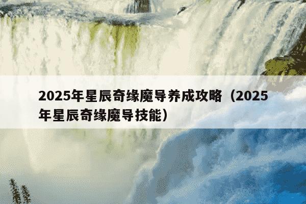 2025年星辰奇缘魔导养成攻略（2025年星辰奇缘魔导技能）