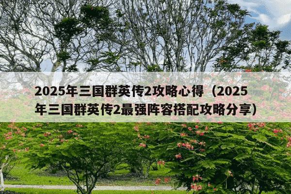 2025年三国群英传2攻略心得（2025年三国群英传2最强阵容搭配攻略分享）