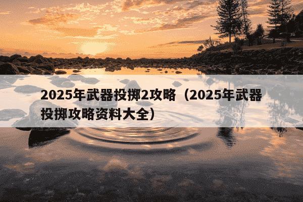 2025年武器投掷2攻略（2025年武器投掷攻略资料大全）
