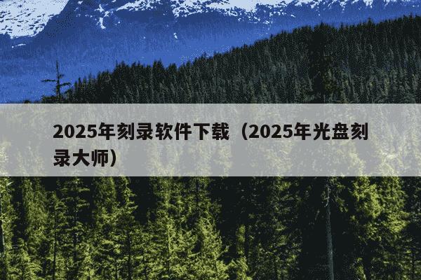 2025年刻录软件下载（2025年光盘刻录大师）