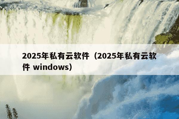 2025年私有云软件（2025年私有云软件 windows）