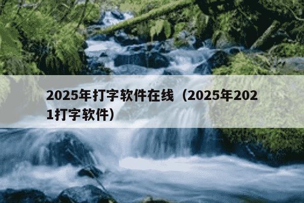 2025年打字软件在线（2025年2021打字软件）