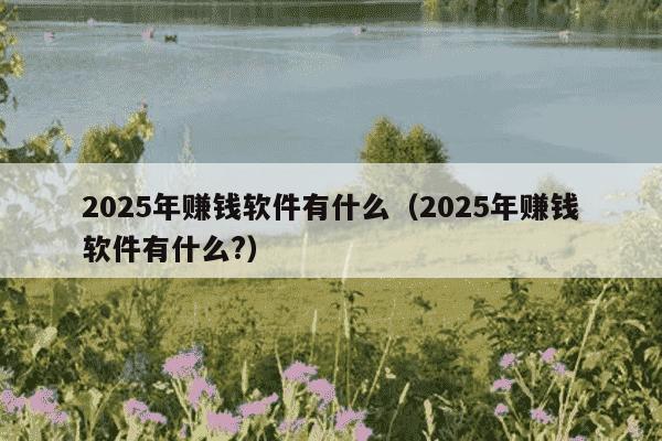 2025年赚钱软件有什么（2025年赚钱软件有什么?）