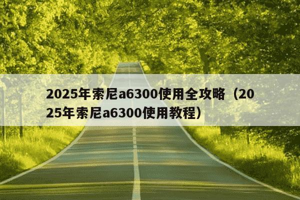 2025年索尼a6300使用全攻略（2025年索尼a6300使用教程）