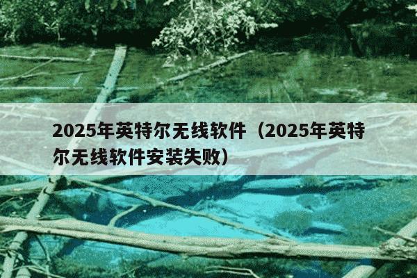 2025年英特尔无线软件（2025年英特尔无线软件安装失败）