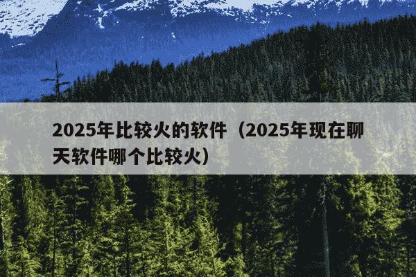 2025年比较火的软件（2025年现在聊天软件哪个比较火）