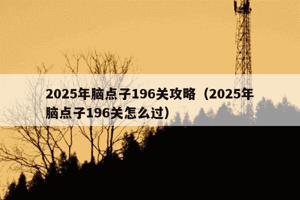 2025年脑点子196关攻略（2025年脑点子196关怎么过）