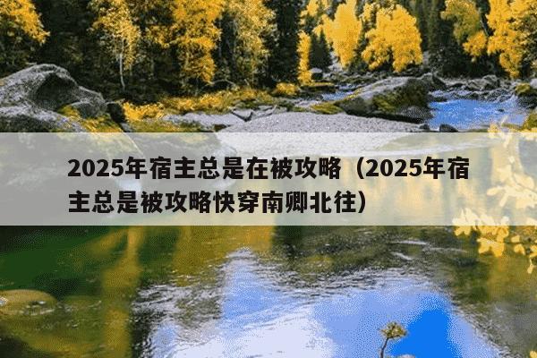 2025年宿主总是在被攻略（2025年宿主总是被攻略快穿南卿北往）