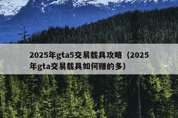 2025年gta5交易载具攻略(2025年gta交易载具如何赚的多)