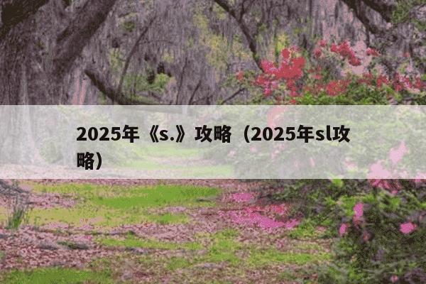 2025年《s.》攻略（2025年sl攻略）