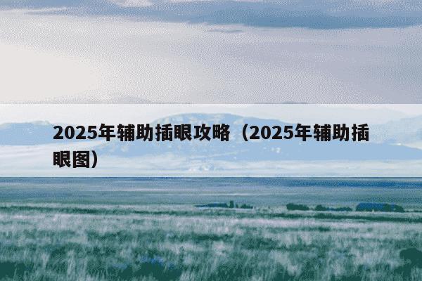 2025年辅助插眼攻略（2025年辅助插眼图）