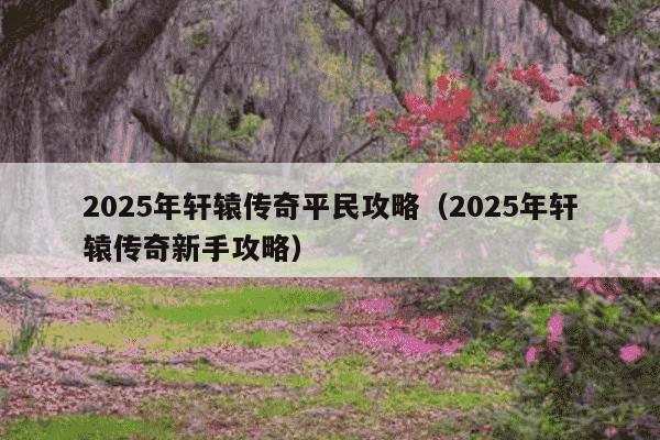 2025年轩辕传奇平民攻略（2025年轩辕传奇新手攻略）