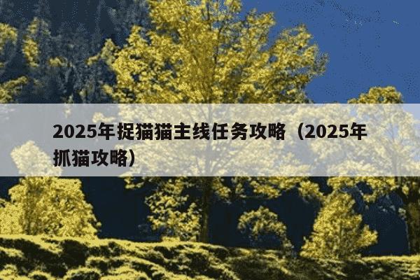 2025年捉猫猫主线任务攻略（2025年抓猫攻略）