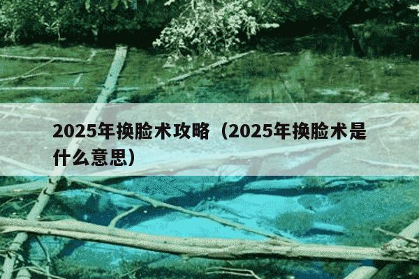 2025年换脸术攻略（2025年换脸术是什么意思）