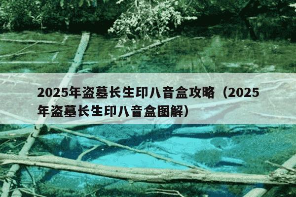 2025年盗墓长生印八音盒攻略（2025年盗墓长生印八音盒图解）